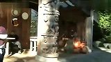 旅游-卡普兰诺吊桥公园