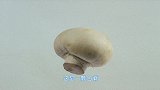 瑞奇宝宝：甜甜玩完想要学习，宝宝们不见了，她们扮演成了蘑菇！