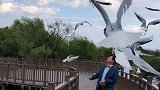大理洱海，要和爱的人一起去