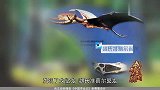 中国寻龙记：九龙壁出土振奋人心，一个坑中有九头恐龙的化石