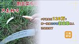 元宇宙还没真正到来，有人已赚百万！卖课程就能割到韭菜？