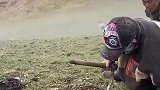 孩子和大人趴在草坪上挖虫草