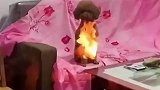 泰迪身上着火了，这也太残忍了
