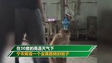 视频曝光！泰国动物园猴子被迫举重等训练 被拖来拖去牙齿被拔光