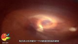 太阳系存在第九行星？原来是太阳吸过来的，或将造成隐患！
