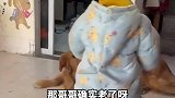 男孩听妈妈说狗老了，抱着狗狗大哭