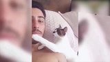 小猫趴在主人身边，和主人亲密互动，真是有爱！