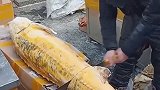 街上看见老板杀鱼，这么大的一条鱼是啥品种的