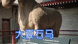 西安碑林博物馆国宝级文物大夏石马