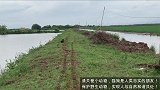狗狗被遗弃在河边，依然紧紧抱着老主人的旧衣不放！