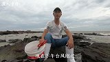 台风“鹦鹉”登陆刚过，各种海货被打到海边，乡仔抓得好刺激