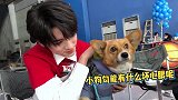 时代少年团 小宋：小狗能有什么坏心眼呢？