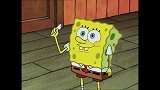 海绵宝宝：海绵宝宝难道每天都是在绕圈圈吗？