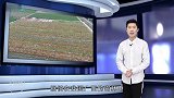 无意中发现的一种果实,香味扑鼻,吃起来却涩口难耐你见过吗
