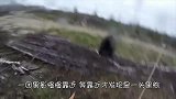 男子徒步爬山，谁料全程遭遇美洲豹恐吓6分钟，镜头记录全过程！