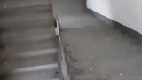 我好像有点迷路了