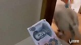 主人给赛文十块钱，让它去拿纸，赛文嫌钱少，最后主人妥协，逗