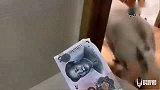 主人给赛文十块钱，让它去拿纸，赛文嫌钱少，最后主人妥协，逗