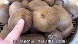 猕猴桃甜不甜？看一眼这里就知道，保准一挑一个甜，抓紧学学
