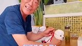 来自父亲的催婚战令，拿狗掩饰就过分了！