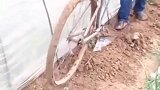 大叔自制的实用农具，种大棚的有福啦，农民智慧真是无穷大！