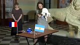 否极泰来？1/8决赛法阿大战在即 两只神猫均选阿根廷赢