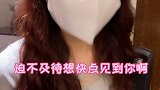 土豆的家庭帝位 辣目洋子推荐猫粮 顽皮wanpy Wanpy顽皮官方旗舰店