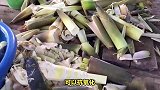 你知道多吃竹笋对身体有哪些好处吗？