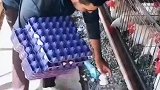 这操作不服不行