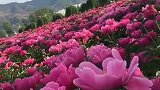 美不是出现在自己的心意里，而是出现在别人的眼睛里