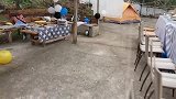 美女自驾游：四川美女太浪漫，偷偷给爱人准备的生日现场太美