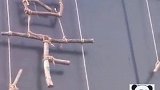 这是啥风格？一穷二白风？