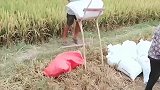 大叔现场搬运设备，操作起来省心又省力！