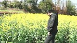 美女问小伙要老婆不，却要先给红包，结局太逗了