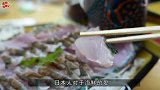 日本人连河豚的精子也不放过？据说爽滑细腻，像吃豆腐一样美味！