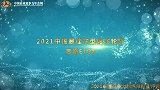 2021中国最佳车型金车轮奖 思皓E10X