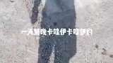 真搞不懂那些男孩子