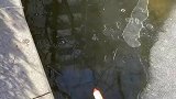 小伙用鞭炮炸冰面，小小一炮威力不小