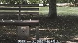 公园里的长椅还要投币，你愿意在你家附近安装这种长椅吗