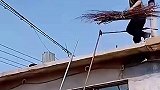 这样从屋顶下来一般人不敢