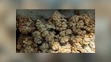 男子上山捡罕见怪石洗净后两眼发傻