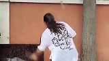 你们是夫妻一场，为什么不懂得谦让啊