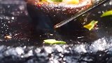 靠山吃山，靠水吃水，山里人家，有柴有火#户外美食