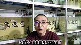 迷你鹦鹉鱼的繁殖，有何注意要点，小鱼苗什么时候开始喂为佳？