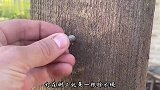每一个都能解决大难题