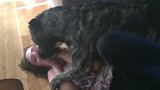 舔狗斗牛犬疯狂亲吻女主人，这舌头跟洗脸帕一样