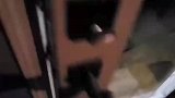 外国网友喂养野生浣熊，没想到后来全部变胖了