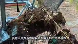 网红钓鱼佬北盘江清理垃圾，贵州文旅回应