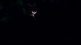 生活-跳伞牛男“费利克斯·鲍姆加特纳”挑战极限从太空边缘跳下