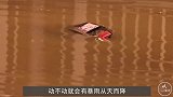 为啥德国不怕发生水灾？3D模拟地下排水系统，看完才知道有多牛